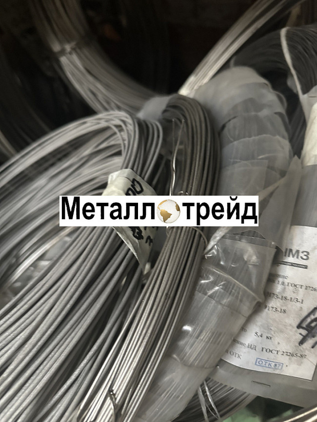 Проволока титановая ВТ2 св. мм